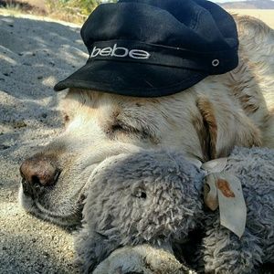 Meet your Posher, H.